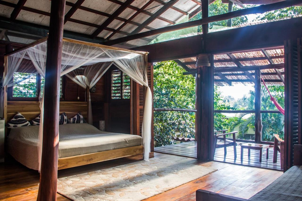 Funky Monkey Lodge Playa Santa Teresa  Zewnętrze zdjęcie