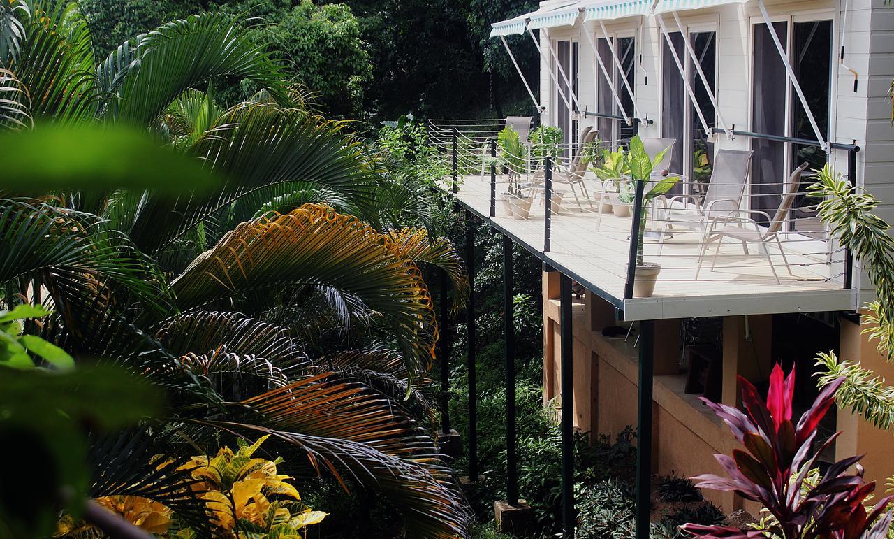 Funky Monkey Lodge Playa Santa Teresa  Zewnętrze zdjęcie