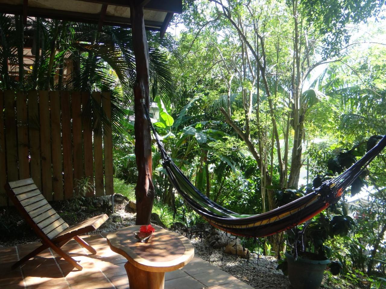 Funky Monkey Lodge Playa Santa Teresa  Zewnętrze zdjęcie